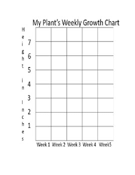 Kids Plant Growth Chart Bedowntowndaytona Com