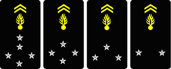 Grades Et Carrieres France Enseignement Devenir Gendarme Free download grades gendarmerie nationale française 1.0.7 apk (lastest version). france enseignement devenir gendarme