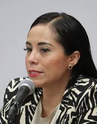 Cinco nuevas organizaciones integrarán el SEPASE