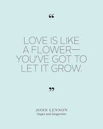 Bridal Shower Quotes To Set The Mood At The Pre Wedding Bash Bridal Shower Quotes Shower Quotes Love Marriage Quotes