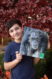 Maybe you would like to learn more about one of these? Bryce Gheisar Brycegheisar Twitter