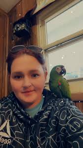 Friday night homework: a color coded list of macaws. I'm such a nerd.