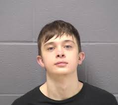 Will County Jail Roundup For March 14 Weekend