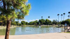 10 Great Parks Near Phoenix For A Picnic In The Shade Urbanmatter Phoenix