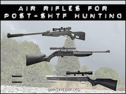 You can move up to slightly larger critters like racoons and opossums, but as always, shot placement and accuracy are what will make the difference between a clean kill vs. 5 Best Air Rifles For Post Shtf Hunting Free Buyers Guide