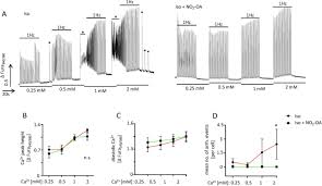 Get free nitro xl now and use nitro xl immediately to get % off or $ off or free shipping. Nitro Fatty Acids Suppress Ischemic Ventricular Arrhythmias By Preserving Calcium Homeostasis Scientific Reports