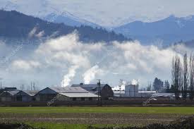 Contaminación Rural