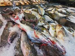 Resepi 1 kilo ikan mambung lemak cili padi club / cara mudah udang lipan udang ketak masak lemak cili api x nenas malaysian food. Murah Dan Segar Di Segi Fresh Market Blog Eyzamiel