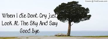 Take A Look To The Sky Just Before You Die When I Die Don T Cry Just Look At The Sky And Say Good Bye Facebook Quote Cover 81692 Look At The Sky When I Die I Dont Miss You