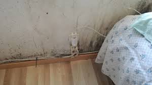 Soluciones a los problemas de humedad. Por Que Tengo Humedad Por Condensacion Si Abro Las Ventanas Y Ventilo Mi Casa Todos Los Dias Antihumedades Es Soluciones Para Los Problemas De Humedad En Las Viviendas
