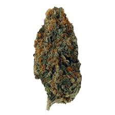 Santa Maria Weed Strain Review & Info