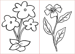 50 contoh gambar lukisan bunga sederhana yang indah di dunia. 30 Gambar Sketsa Bunga Mudah Bunga Matahari Mawar Tulip Sakura Teratai Sepatu Melati Dll Seni Budayaku