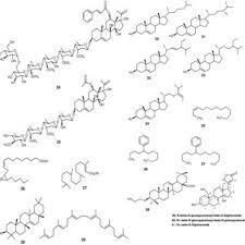Flower buds are edible, stem diuretic used for kidney stones; A Shrub Of Leptadenia Pyrotechnica Download Scientific Diagram