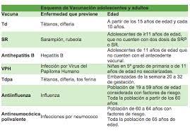 Esquema De Vacunacion Secretaria De Salud Gobierno Gob Mx