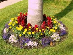 Photo of a traditional full sun backyard flower bed in boston for summer. Flowerbed Maintenance In Keller Tx