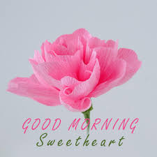 We offer a wide range of birthday gifts for girlfriends or wives see these flower love quotes for her to find something unique and special to convey with your romantic bouquet when you send flowers to a girlfriend. Good Morning Sweetheart Flowers For Girlfriend Good Morning Images Quotes Wishes Messages Greetings Ecards