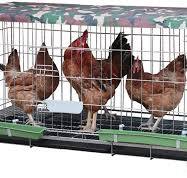 Amazon.com: ACIYD Gallinero gallinero Villa Casa de aves de ...