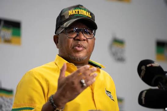 NEWS] Secretary-general of South Africa's African National Congress Fikile Mbalula has vowed that the party will intervene in underperforming municipalities. Mbalula's comments come as the ANC is holding a roll call for