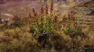 We have now placed twitpic in an archived state. 09oucbbkhnzwbm