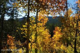 Maybe you would like to learn more about one of these? The Best Of Utah Fall Colors Along The Mirror Lake Highway Dirt In My Shoes