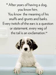40 Dog Quotes That Will Make Your Heart Melt Dog Quotes Dogs Dog Life