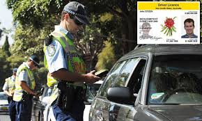 A motorist may violate a driver's license requirement in a number of ways. Do You Need To Carry Your Licence While Driving In Australia Daily Mail Online