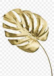 Shiny Golden Monstera Leaf Transparent Png Free Image By Rawpixel Com Teddy Rawpixel Wallpaper Design Pattern Leaf Illustration Canvas Art Wall Decor