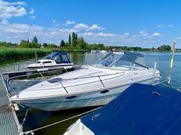 Image result for Red Marina 1994 UMM