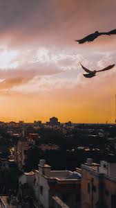 Image result for "submit" -site:wikipedia.org -site:wikimedia.org