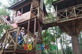 Komplek wisata hutan lindung kota langsa terbilang. Gonews Asyik Ada Rumah Pohon Di Hutan Kota Langsa