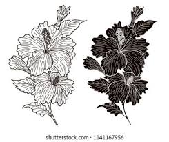 The delicacy and beautiful colors of the hibiscus flower always attract tattooers. Hibiscus Flower Vectorjapanese Hibiscus Flower Tattoo Stock Vector Royalty Free 1141167956
