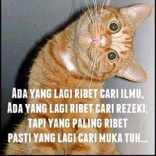 Cie Yang Cari Muka Pew Gambar Lucu Lucu Meme