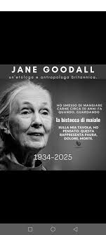 Diamo il benvenuto ai nostri nuovi membri: Isabella Mastrangeli, Andrea  Latini, Isidoro Roccamatisi, Alessandra Quadrio Galiazzo, Anna Rita  Migliosi, Flavia Pimpinelli, Laura Magazzino