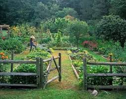 The Perfect English Cottage Vegetable Garden X Dream Garden Perfect Garden Backyard Landscaping