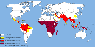 Die meisten patienten sind bereits zehn tage nach der gelbfieberimpfung immun. Reisen Ohne Gelbfieberimpfung Waiting Is Happiness