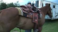 Image result for how mount a horse with a saddle and no cinch
