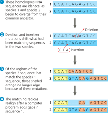 Chap 26 Flashcards Quizlet