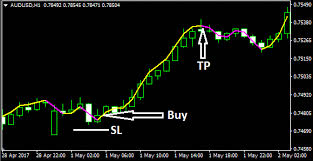 Download Free Forex Execute Line Indicator Forex Trading