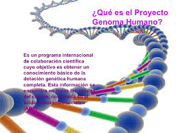 Resultat d'imatges de genoma humano