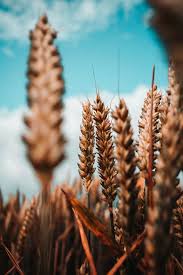 Hareketsiz Bir Karenin Yuzlerce Duyguyu Harekete Gecirmesi Iste Bu Fotog Photography Inspiration Nature Depth Of Field Photography Landscape Photography