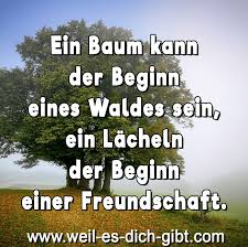 Weil Es Dich Gibt On Twitter Baum Beginn Eines Waldes Lacheln Beginn Einer Freundschaft Spruch Https T Co Beo2ycwtij Zitate Spruche Baum Wald Lacheln Freundschaft Https T Co Xuts6vcxbx