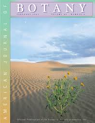 Image result for Putterlickia verrucosa