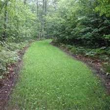 Learn about & buy food plot seed for whitetail deer food plots, turkey food plots, quail food plots, ducks, dove, birds, and other wildlife food plots. Sweet Spot Deer Food Plot Seed Sucraseed Deer Food Food Plots For Deer Whitetail Deer Hunting