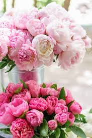 The world is a beautiful place with a lot of natural beauty secrets, and one of them is the prettier of flowers. Lovely Flowers In Glass Vase Beautiful Bouquet Of Pink Peonies Stock Photo Picture And Royalty Free Image Image 102696991
