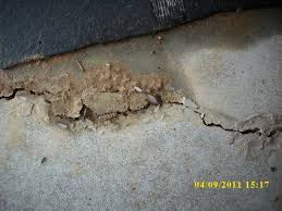 When pests invade your louisville, kentucky or southern indiana home, you need a trusted, professional pest control management team to take care of the job. Termites Info Termites Kentucky