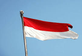 We did not find results for: 101 Gambar Bendera Merah Putih Untuk Mewarnai Terlihat Keren Gambar Pixabay