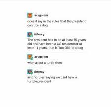 Is That What The U S Elections Have Come To Yep This Really What It Has Come To Funny Tumblr Posts Tumblr Funny Just For Laughs