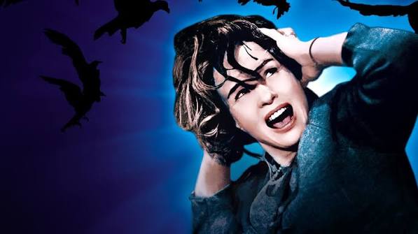 Watch The Birds | Netflix