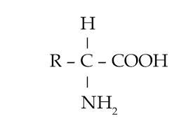 We did not find results for: Jenis Jenis Protein Dan Fungsinya Myrightspot Com