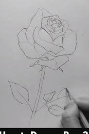 Zeichnung Zeichentipps Zeichnungen Bleistift In 2020 Simple Flower Drawing Flower Drawing Drawings